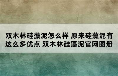 双木林硅藻泥怎么样 原来硅藻泥有这么多优点 双木林硅藻泥官网图册